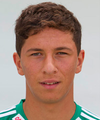 Robert Zulj