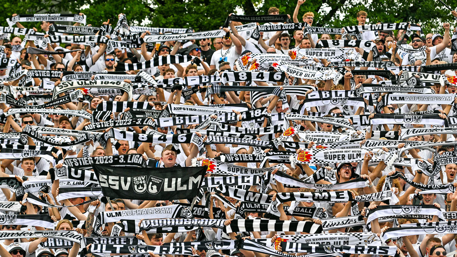 Ulmer Fans in der Heimkurve