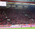 Zur Galerie