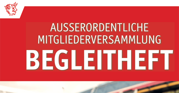 Ausgliederung: Umstrittener Beirat in der Kritik
