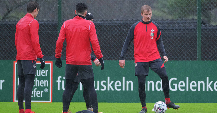 Götze und Senger: 